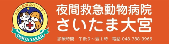 夜間救急動物病院 さいたま大宮　SONAC